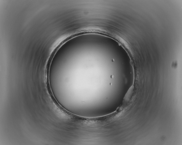X0000090481082200707201410