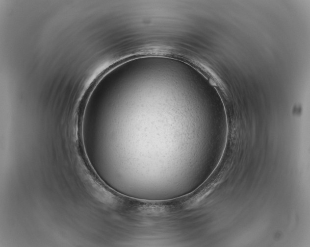 X0000090481083200707201410