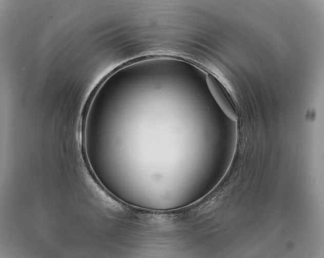 X0000090481084200707201410
