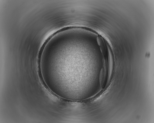 X0000090481085200707201410
