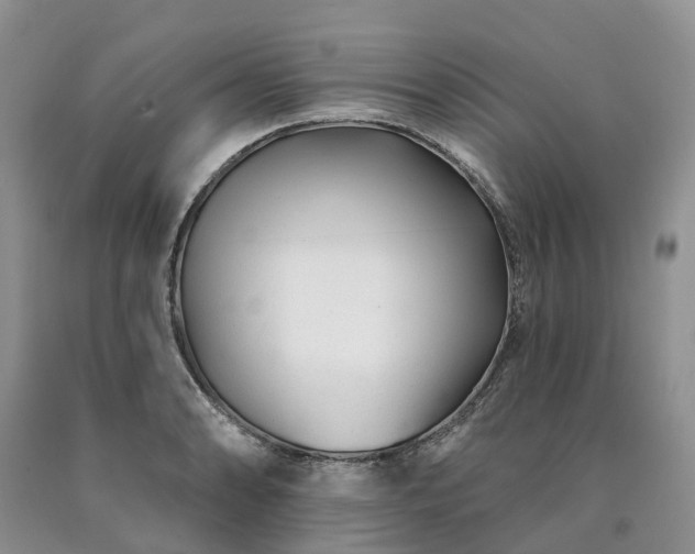 X0000090481086200707201410