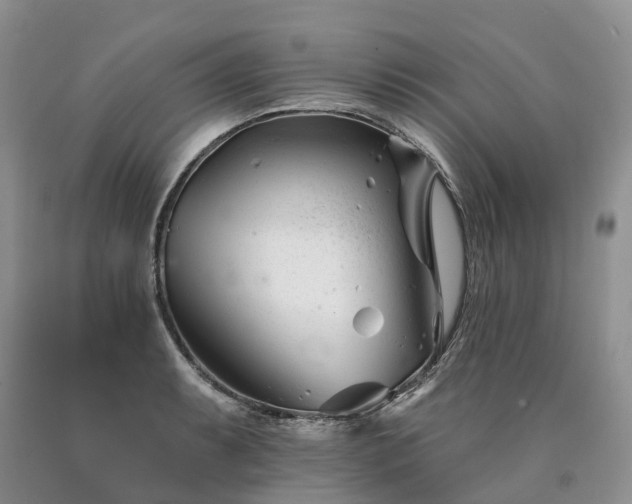 X0000090481087200707201410