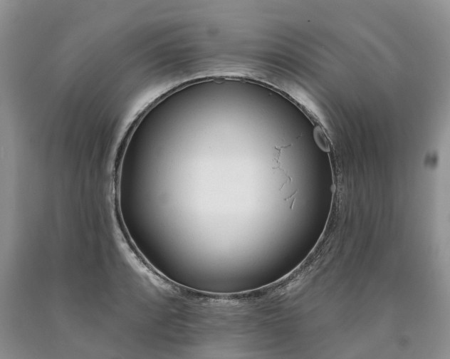 X0000090481088200707201410