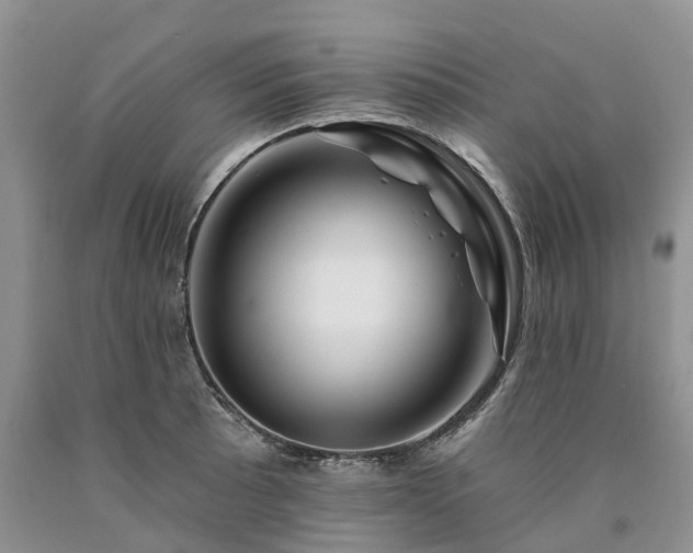 X0000090481089200707201410