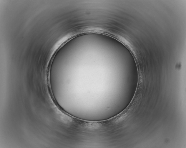 X0000090481090200707201410