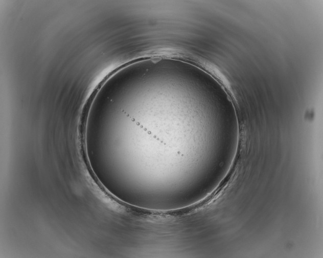 X0000090481091200707201410