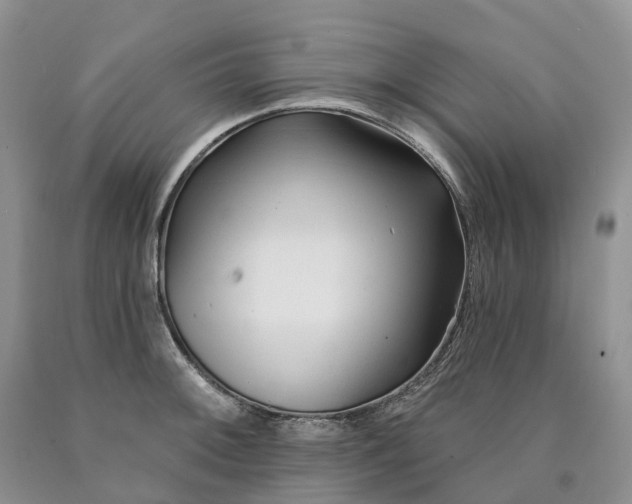 X0000090481092200707201410