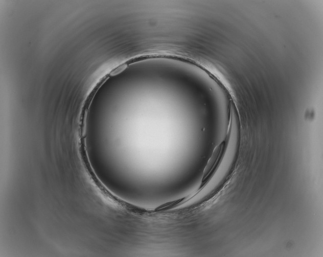 X0000090481093200707201410