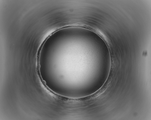X0000090481095200707201410