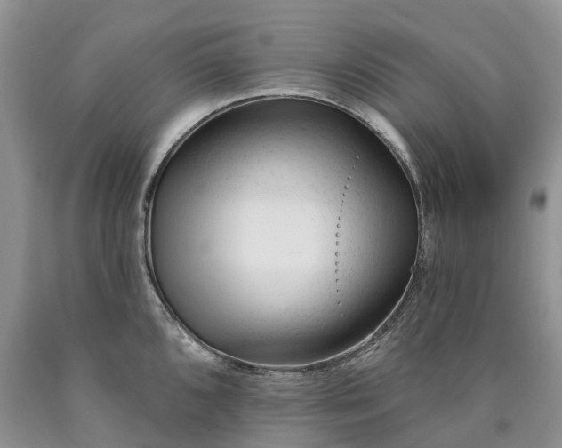 X0000090481096200707201410