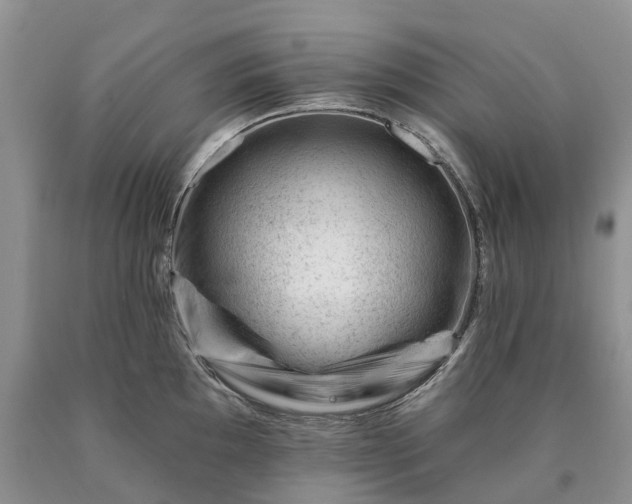 X0000090481097200707201410