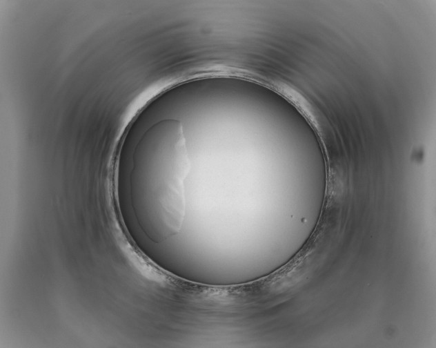 X0000090481098200707201410