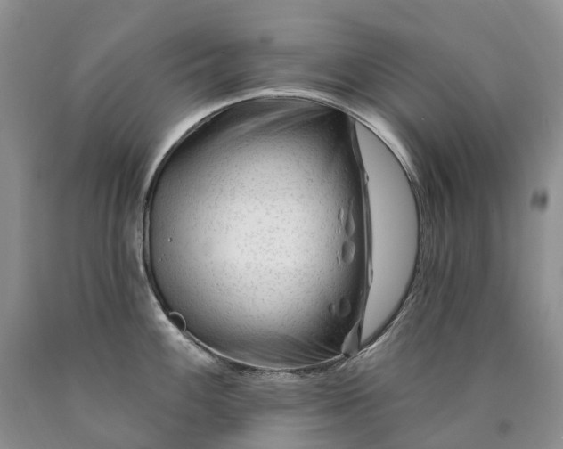 X0000090481100200707201410