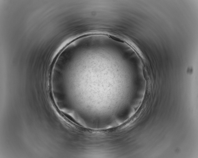 X0000090481101200707201410