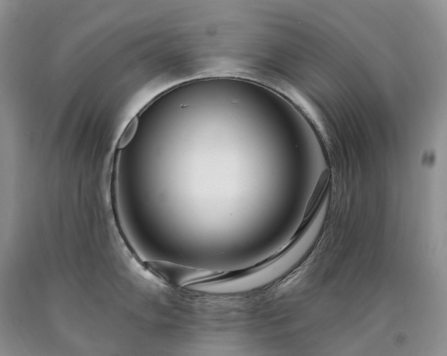 X0000090481102200707201410