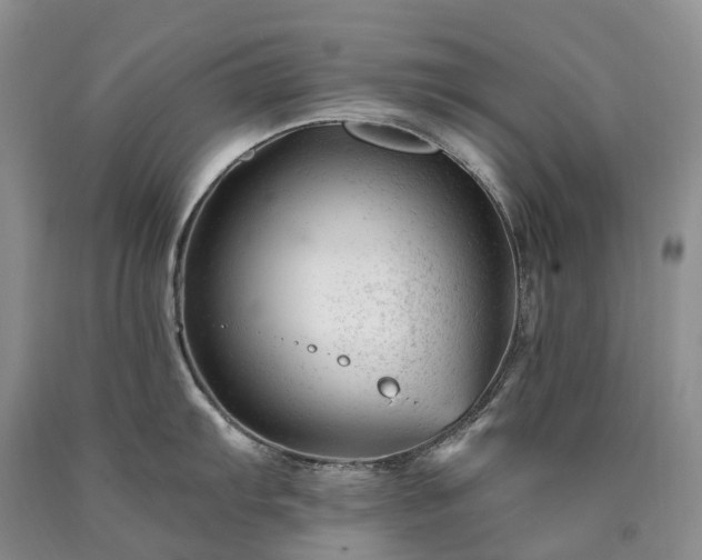 X0000090481103200707201410