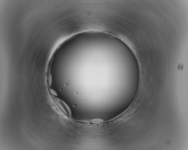 X0000090481104200707201410