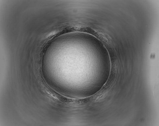 X0000090481105200707201409