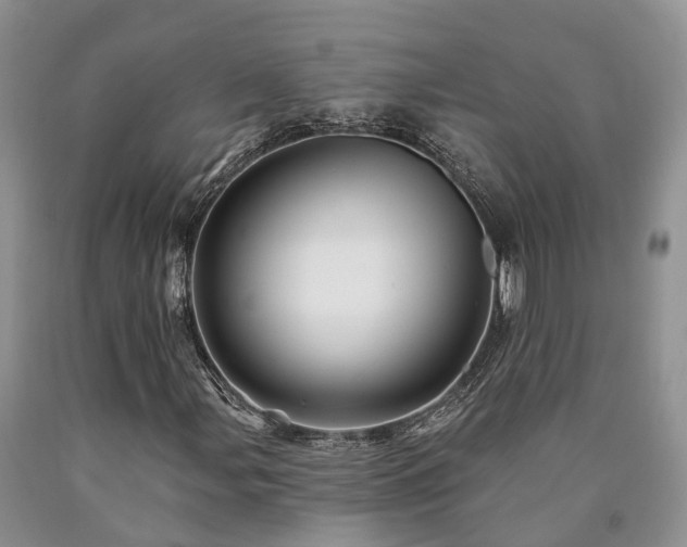 X0000090481107200707201409