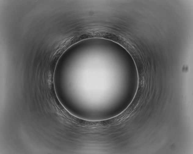 X0000090481108200707201409