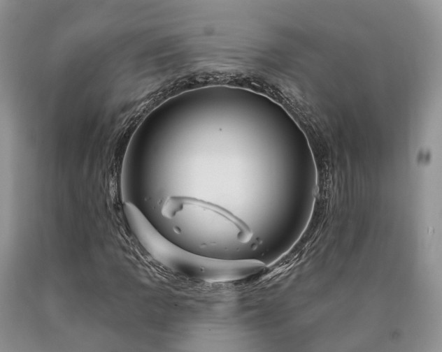 X0000090481109200707201409
