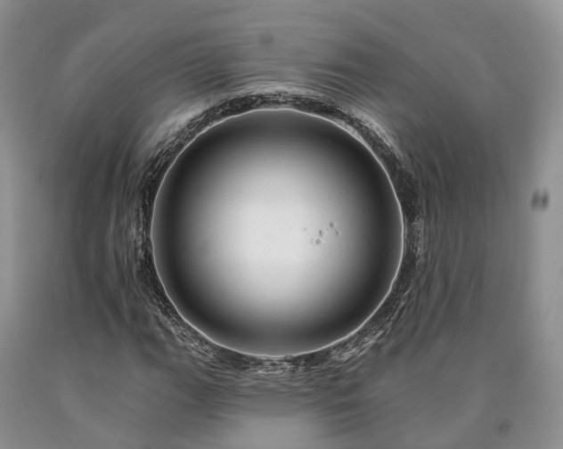 X0000090481111200707201409