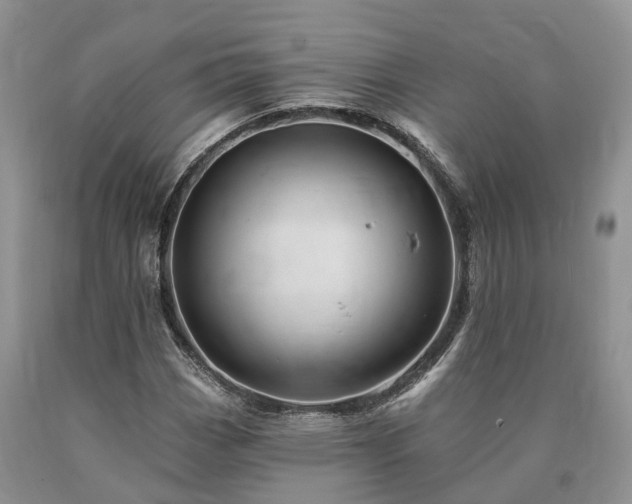X0000090481113200707201410