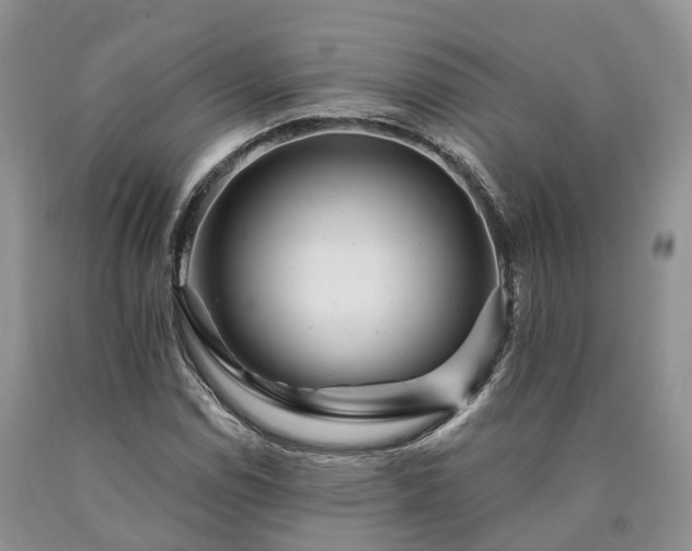 X0000090481114200707201410