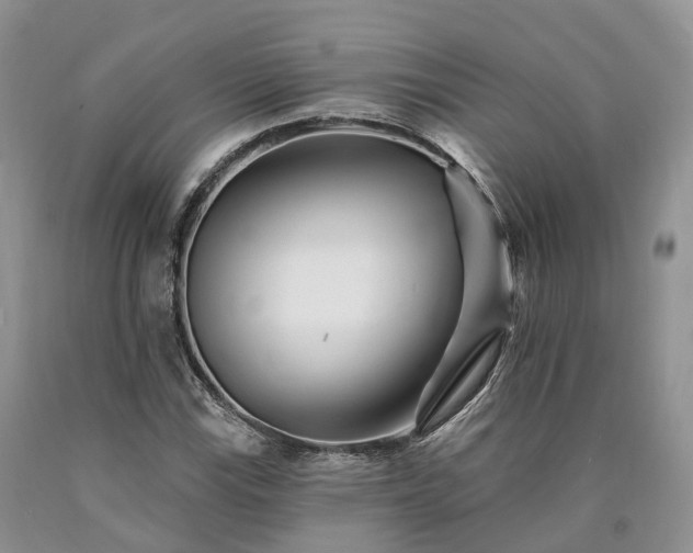 X0000090481115200707201410