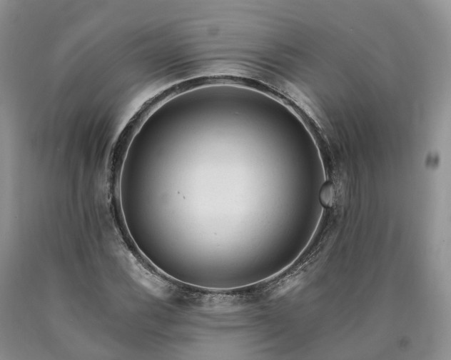 X0000090481116200707201410