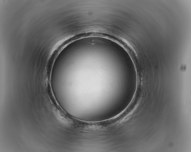 X0000090481117200707201410