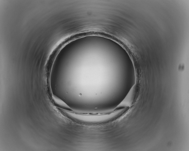 X0000090481118200707201410