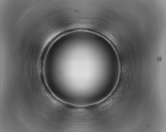 X0000090481119200707201410
