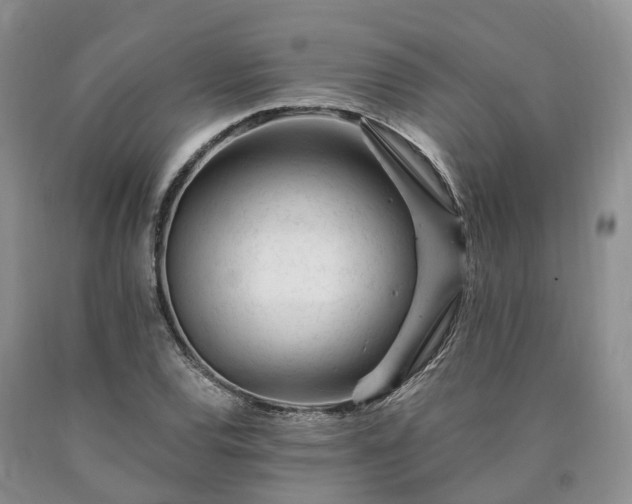 X0000090481120200707201410