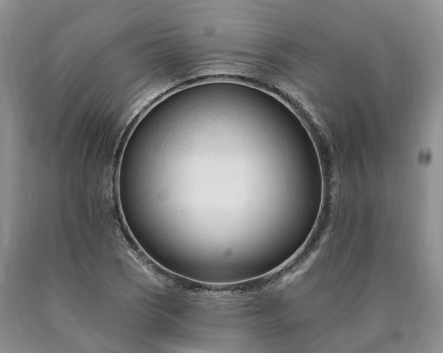 X0000090481121200707201410