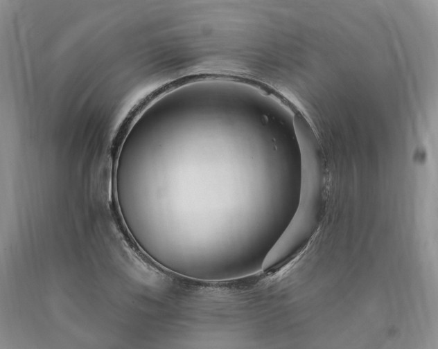 X0000090481123200707201410