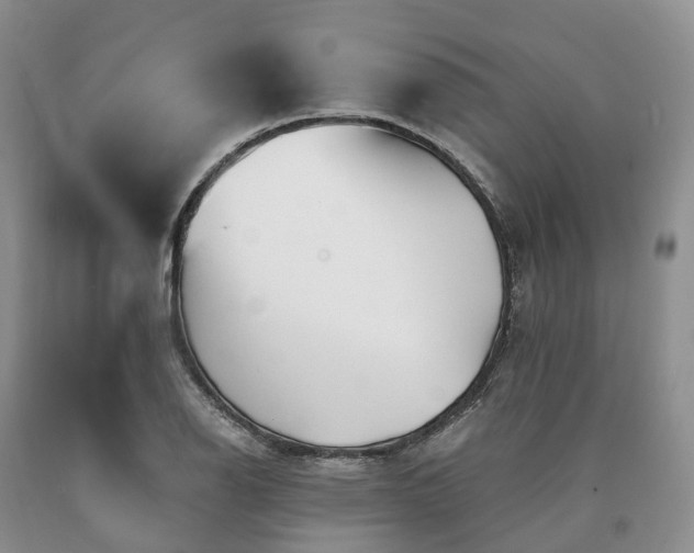 X0000090481126200707201410