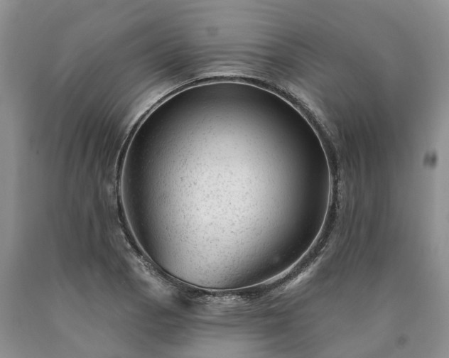 X0000090481129200707201410