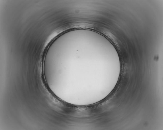 X0000090481130200707201410