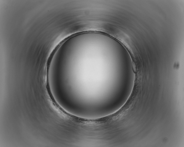 X0000090481132200707201410