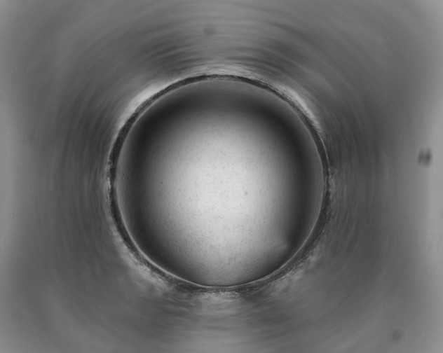 X0000090481133200707201410
