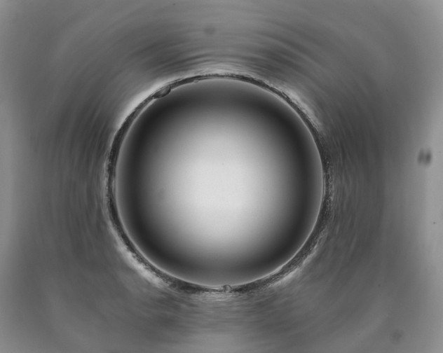 X0000090481134200707201410