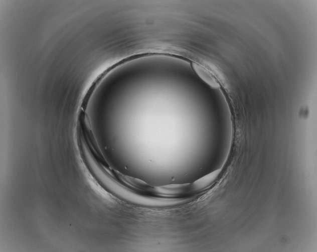 X0000090481136200707201410