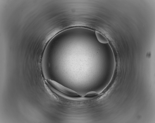 X0000090481137200707201410