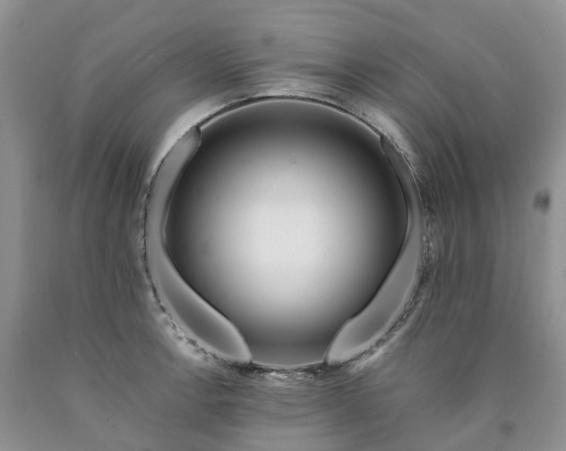 X0000090481138200707201410