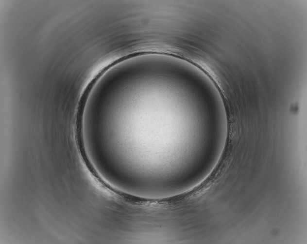 X0000090481139200707201410