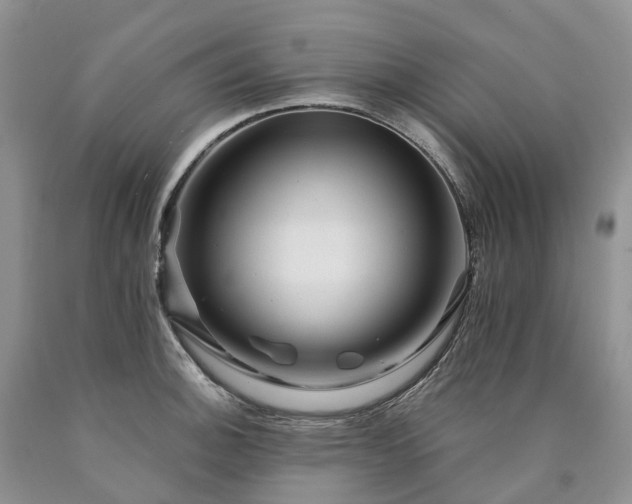 X0000090481140200707201410