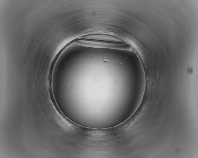 X0000090481141200707201410