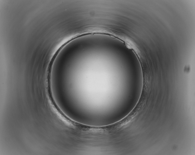 X0000090481142200707201410