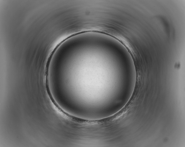 X0000090481143200707201410